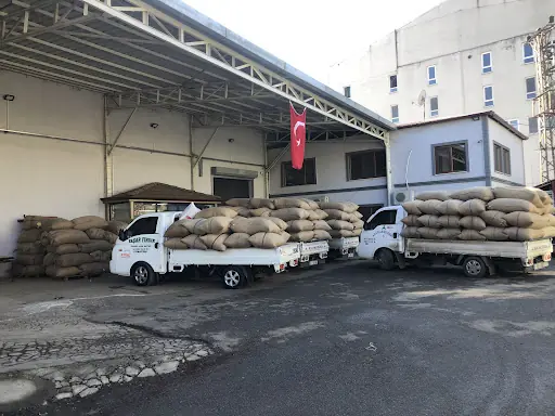 Azaplar Fındık