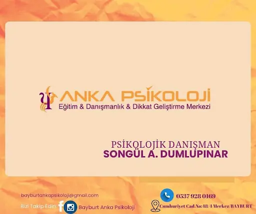 Bayburt Anka Psikoloji- Eğitim&Danışmanlık& Dikkat Geliştirme Merkezi 4