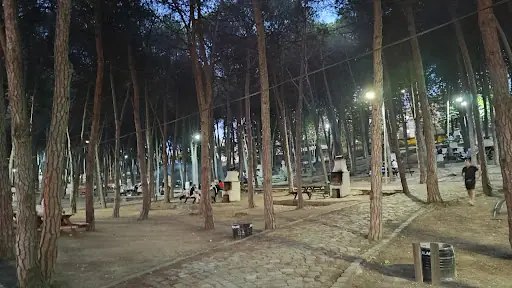 Çamlık Piknik ve Mesire Alanı 2