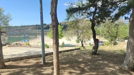 Bademlik Piknik Alanı