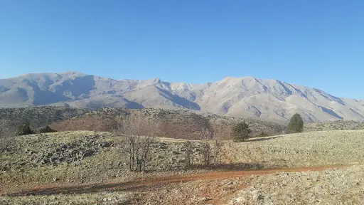 Nurhak