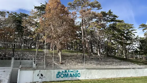 Domaniç Ebe Çamlığı Kent Ormanı 4