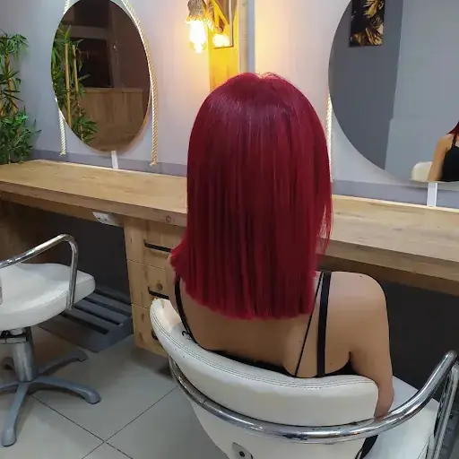 SALON HİLMİ