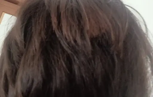 Wella Bayan Kuaförü