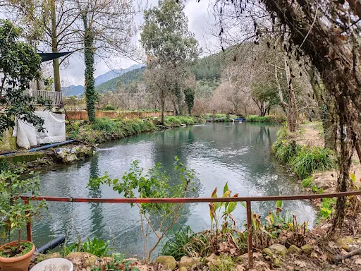taşköprü alabalık 3