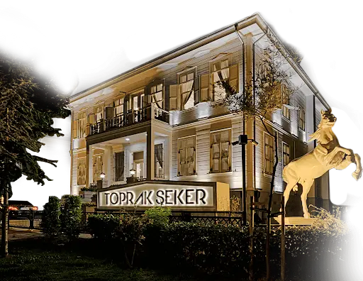 Toprak Şeker Kuaför 3
