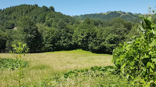 İskenderli Taşlı Mahallesi 4