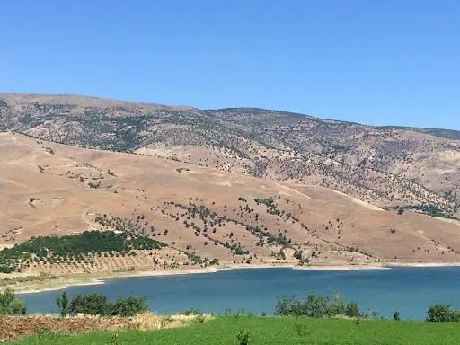 Malatya İli Pütürge İlçesi Tatlıcak (Şekerhan) Köyü Kültür ve Day. Derneği – Diğer (Güzellik), İstanbul