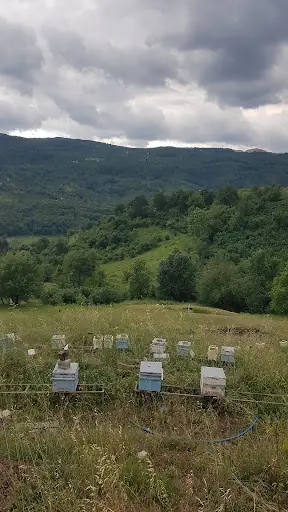 DAGEM Yığılca Düzce Üniversitesi Arıcılık Araştırma Geliştirme ve Uygulama Merkezi