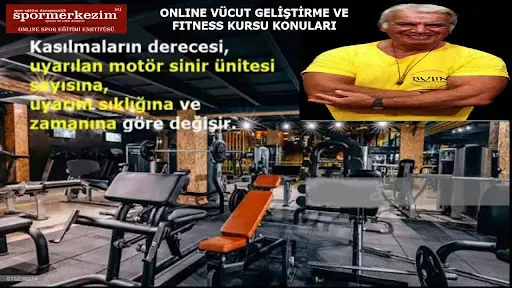 Avşarkızı Güzellik Salonu 3