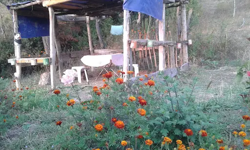 Çocuk Parkı 3