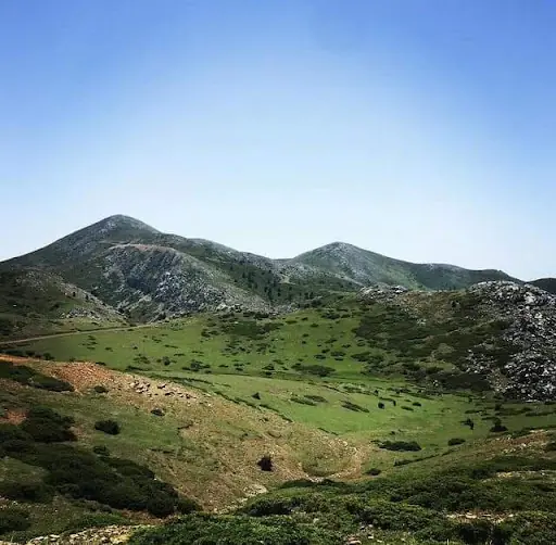 Alan köyü yeni yaylası 3