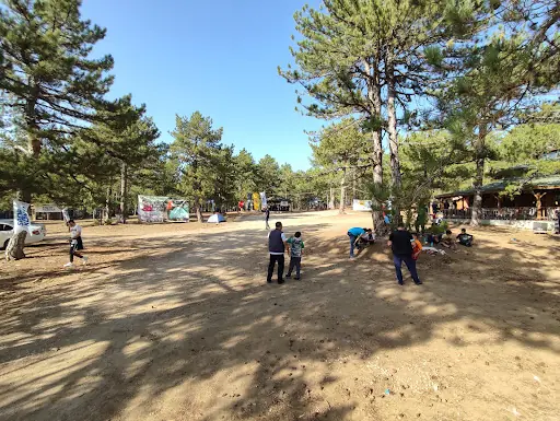 Düzçam Mesire Alanı 4