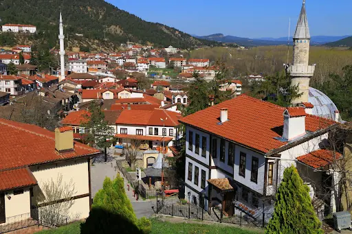 Taraklı 5