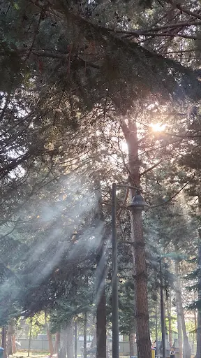 Hatıra Koruluğu
