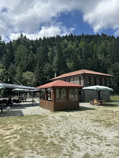 Yeşil cennet 3