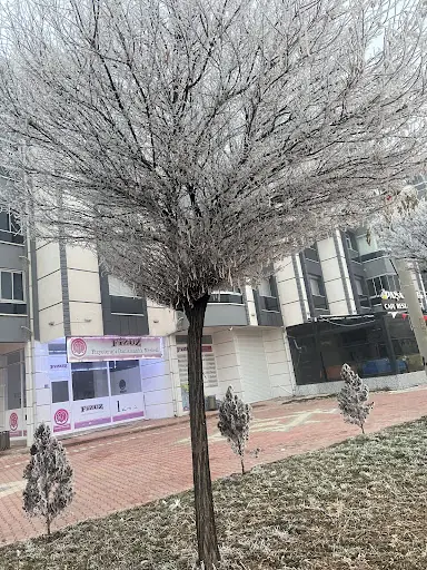 FİZUZ FİZYOTERAPİST NACİYE UZEL