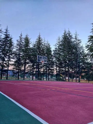 Senirkent 60. Yıl Spor Salonu 2