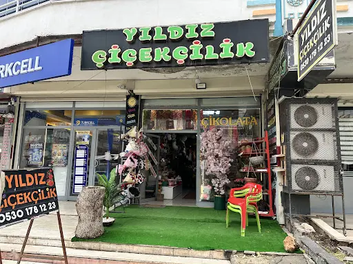 ERGANİ YILDIZ ÇİÇEKÇİLİK