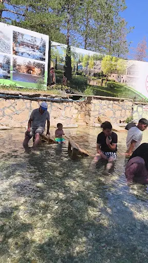 Kangal Balıklı Kaplıcası 3