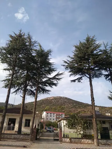 Gölpazarı Öğretmen Evi 3