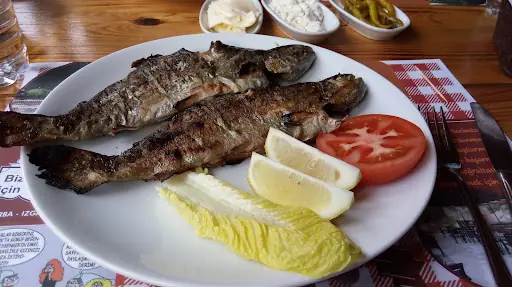 Pasaderesi Piknik Alanı 2