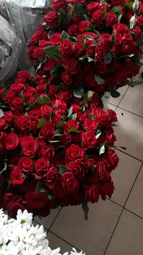 Çiçekçim murat 3