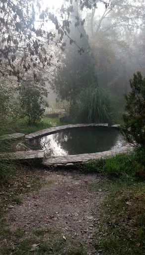 Yosun Havuzu 4