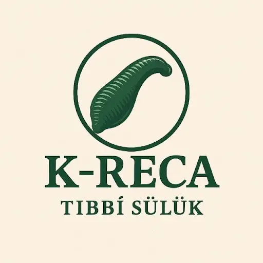 K-RECA