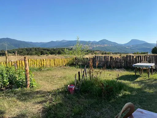 Şeref'in Yeri 2