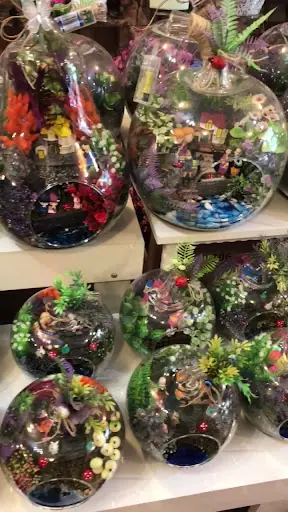 Ergani Gül Çiçek Dünyası 3