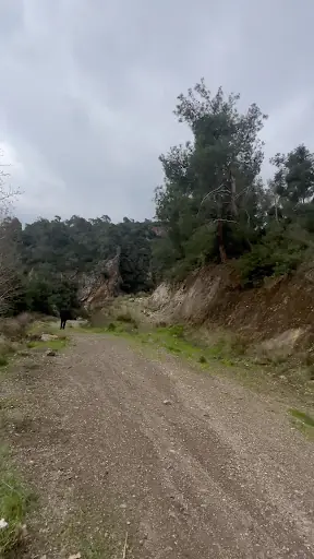 Gökkaya Motofest Konser ve Kamp Alanı 3