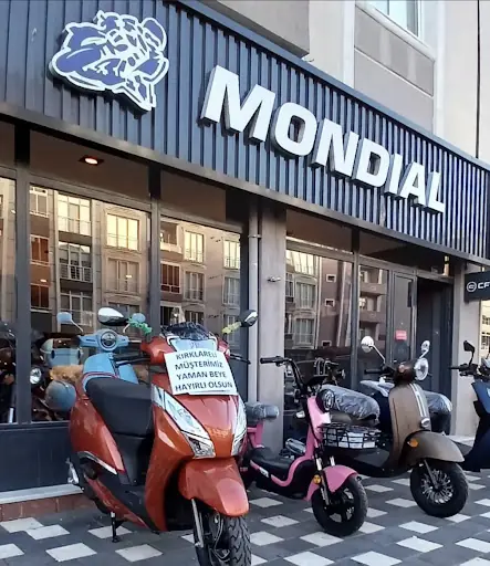 Havsa Mondial Özer Engin