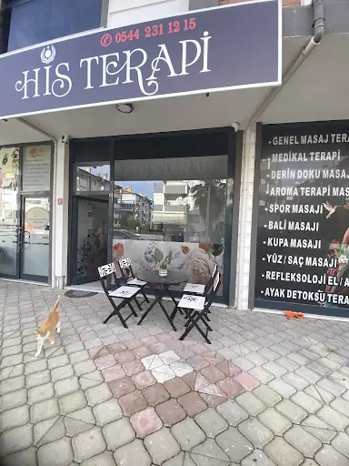 His Terapi Salonu