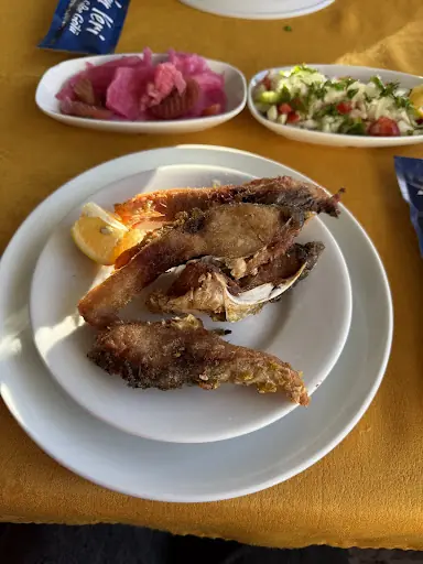 Yunus'un Yeri