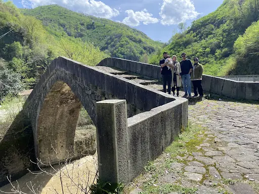 Tarihi Ağa Köprüsü 2