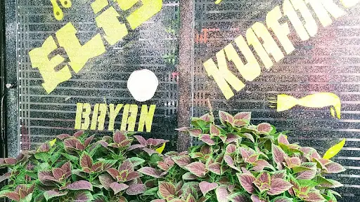 Elis bayan kuaföru