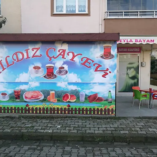 Leyla Bayan Kuaförü & Yıldız Çay Evi Altınordu/Ordu