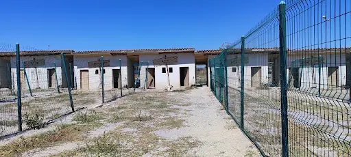 Kangal Kaymakamlığı Köpek Yetiştirme Çiftliği