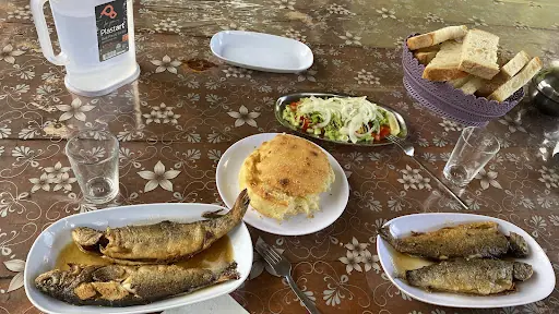 Gökçeköy Alabalık Tesisleri