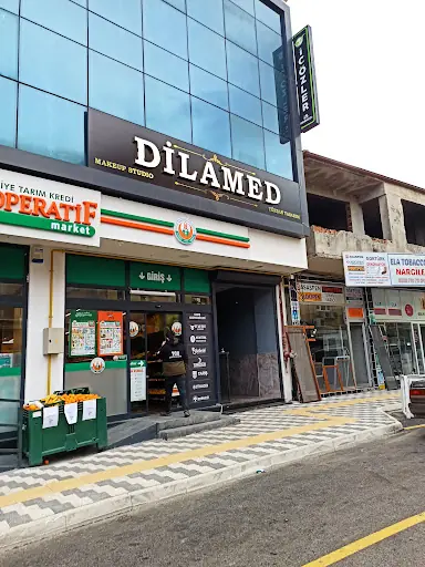 Dilamed Sakarya 2