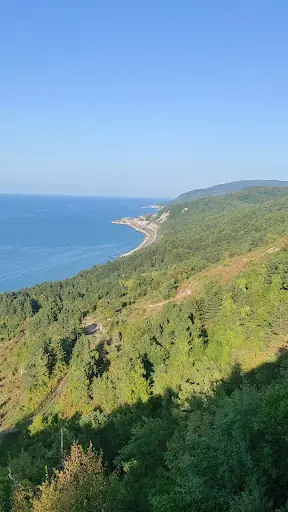 Türkeli Belediyesi Seyir Terası &Cafe 3
