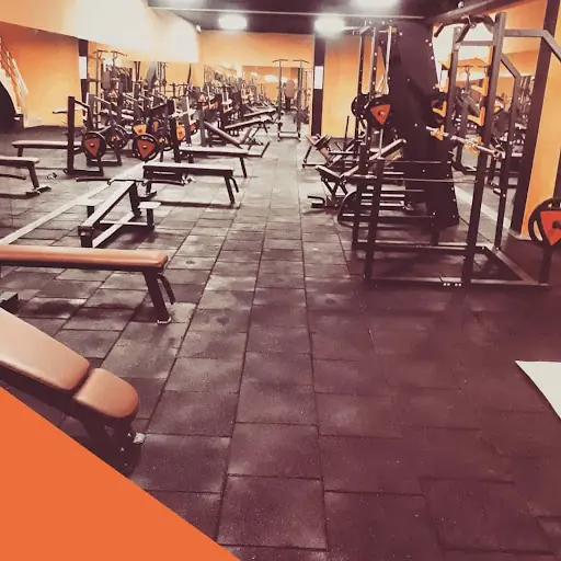 Fitnessland