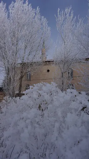 Aslanapa Çarşı Cami 5