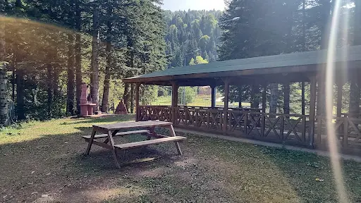 DKMP Küre Dağları Milli Parkı Kızılcasu Kamp Alanı 4