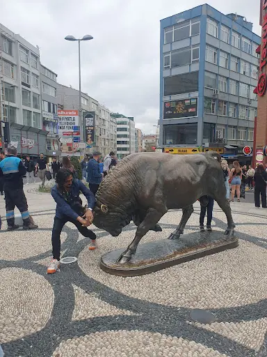 Kadıköy Vize Merkezi – Diğer (Güzellik), İstanbul (2. fotoğraf)