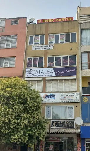 catalea masaj salonu 2