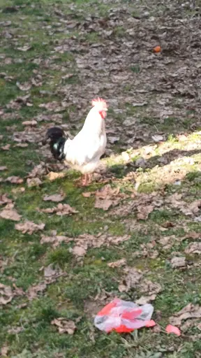 Tokat Özel Hayat Bakım Merkezi 4