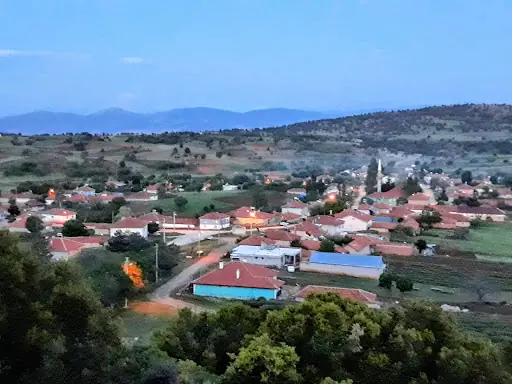 Özcan Gül Yağı Ve Uçucu Yağlar