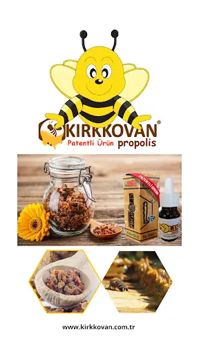 KIRKKOVAN PROPOLİS 4